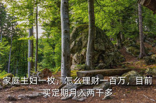 家庭主婦一枚，怎么理財(cái)一百萬，目前買定期月入兩千多