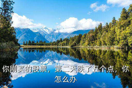 你剛買的股票，第二天跌了五個點(diǎn)，你怎么辦