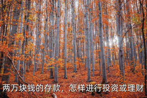 兩萬(wàn)塊錢的存款，怎樣進(jìn)行投資或理財(cái)