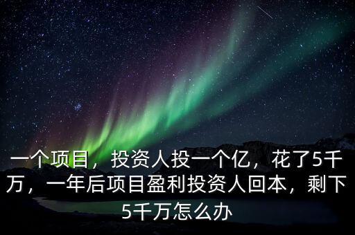 一個(gè)項(xiàng)目，投資人投一個(gè)億，花了5千萬(wàn)，一年后項(xiàng)目盈利投資人回本，剩下5千萬(wàn)怎么辦