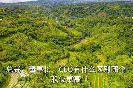 總裁、董事長(zhǎng)、CEO有什么區(qū)別哪個(gè)職位更高