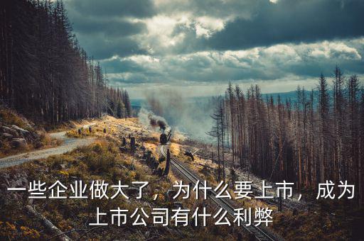一些企業(yè)做大了，為什么要上市，成為上市公司有什么利弊