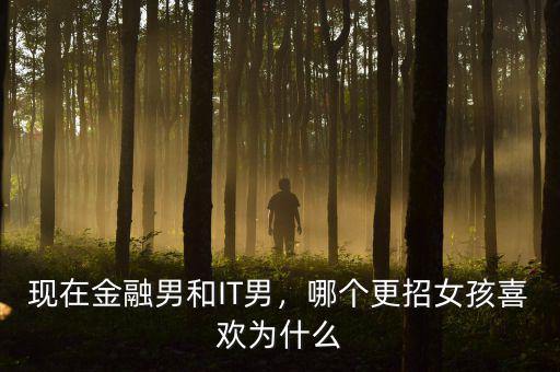 現(xiàn)在金融男和IT男，哪個(gè)更招女孩喜歡為什么