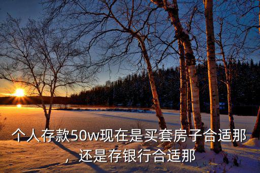 個人存款50w現(xiàn)在是買套房子合適那，還是存銀行合適那