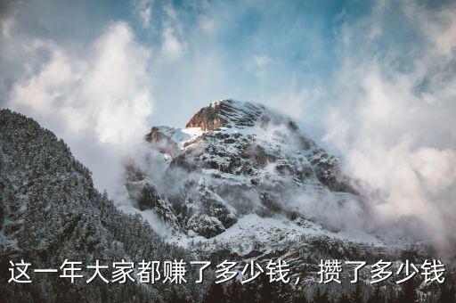 這一年大家都賺了多少錢，攢了多少錢