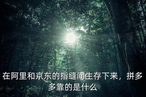在阿里和京東的指縫間生存下來(lái)，拼多多靠的是什么