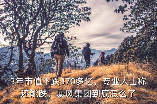 3年市值下跌370多億，專業(yè)人士稱還能跌，暴風集團到底怎么了