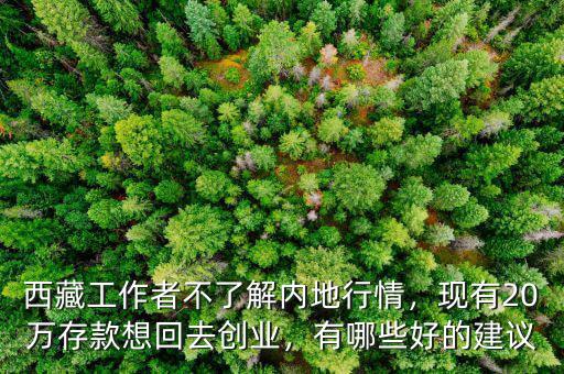 西藏工作者不了解內(nèi)地行情，現(xiàn)有20萬存款想回去創(chuàng)業(yè)，有哪些好的建議