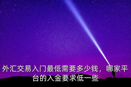 外匯交易入門最低需要多少錢，哪家平臺(tái)的入金要求低一些