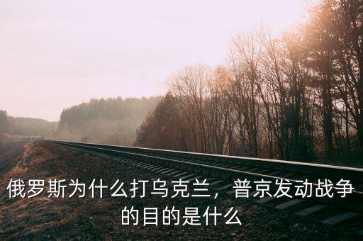 俄羅斯為什么打?yàn)蹩颂m，普京發(fā)動(dòng)戰(zhàn)爭(zhēng)的目的是什么