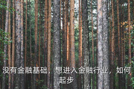 沒(méi)有金融基礎(chǔ)，想進(jìn)入金融行業(yè)，如何起步