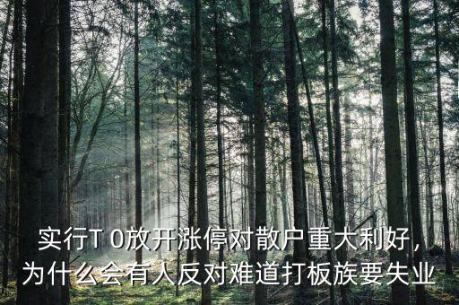 實(shí)行T 0放開漲停對散戶重大利好，為什么會有人反對難道打板族要失業(yè)
