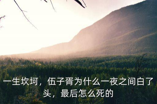 一生坎坷，伍子胥為什么一夜之間白了頭，最后怎么死的