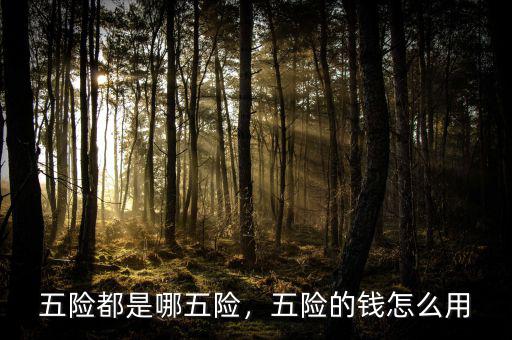 五險都是哪五險，五險的錢怎么用