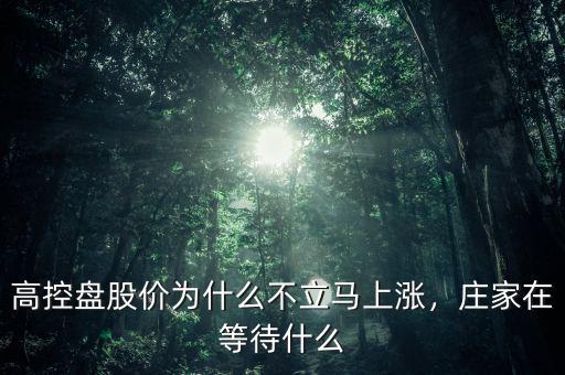 高控盤股價(jià)為什么不立馬上漲，莊家在等待什么