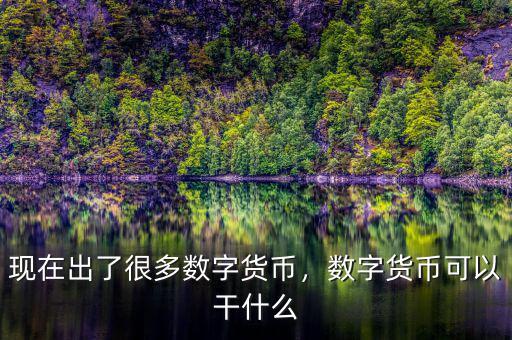 現(xiàn)在出了很多數(shù)字貨幣，數(shù)字貨幣可以干什么