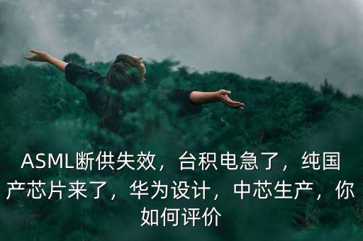 ASML斷供失效，臺積電急了，純國產(chǎn)芯片來了，華為設(shè)計，中芯生產(chǎn)，你如何評價