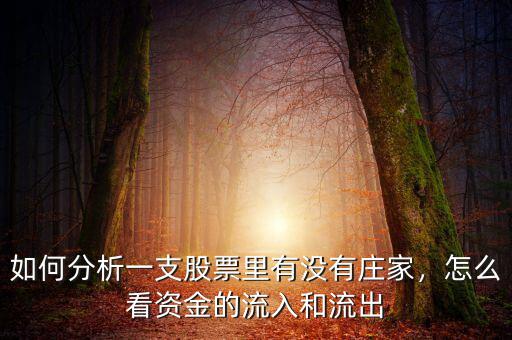 如何分析一支股票里有沒有莊家，怎么看資金的流入和流出