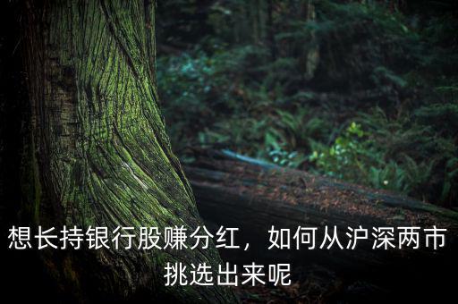 想長持銀行股賺分紅，如何從滬深兩市挑選出來呢