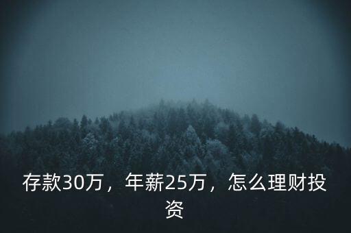 存款30萬(wàn)，年薪25萬(wàn)，怎么理財(cái)投資