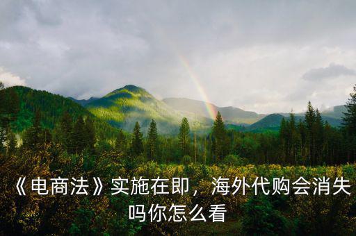 《電商法》實(shí)施在即，海外代購(gòu)會(huì)消失嗎你怎么看