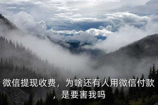 微信提現(xiàn)收費(fèi)，為啥還有人用微信付款，是要害我嗎