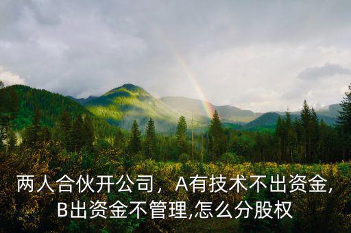 兩人合伙開公司，A有技術不出資金,B出資金不管理,怎么分股權