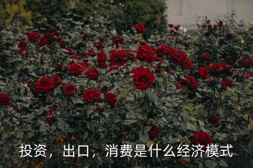 消費經(jīng)濟是什么,經(jīng)濟發(fā)展的本質是什么