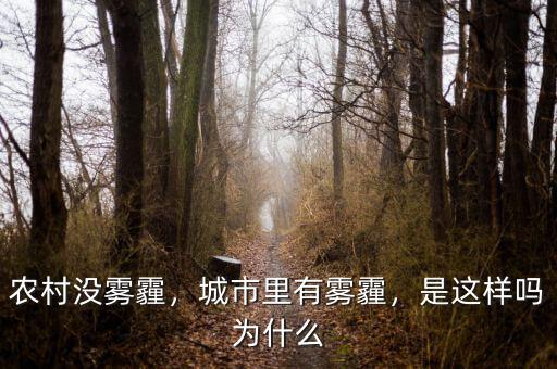 農(nóng)村沒霧霾，城市里有霧霾，是這樣嗎為什么
