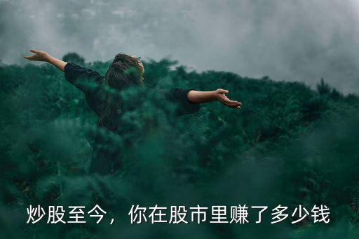 炒股至今，你在股市里賺了多少錢