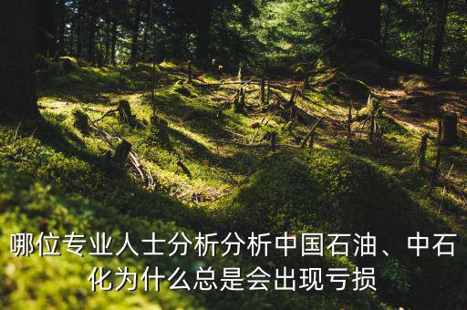 哪位專業(yè)人士分析分析中國(guó)石油、中石化為什么總是會(huì)出現(xiàn)虧損