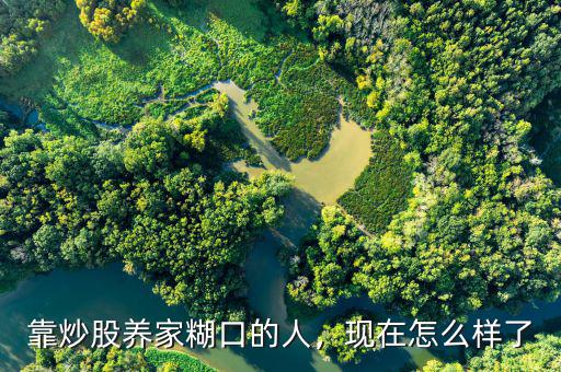 靠炒股養(yǎng)家糊口的人，現(xiàn)在怎么樣了