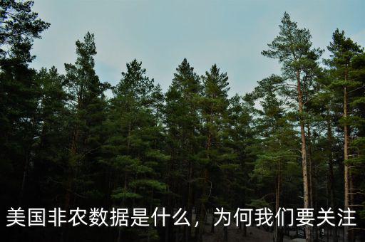 美國非農(nóng)數(shù)據(jù)是什么，為何我們要關(guān)注