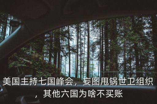 美國(guó)主持七國(guó)峰會(huì)，妄圖甩鍋世衛(wèi)組織，其他六國(guó)為啥不買(mǎi)賬