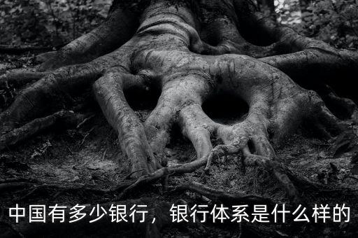 中國(guó)有多少銀行，銀行體系是什么樣的