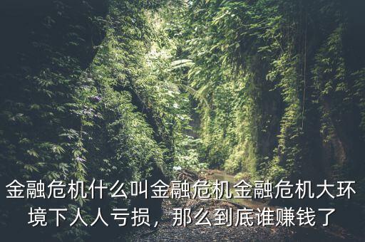 金融危機(jī)什么叫金融危機(jī)金融危機(jī)大環(huán)境下人人虧損，那么到底誰賺錢了