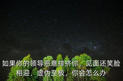 如果你的領(lǐng)導(dǎo)惡意排擠你，見面還笑臉相迎，虛偽至極，你會怎么辦