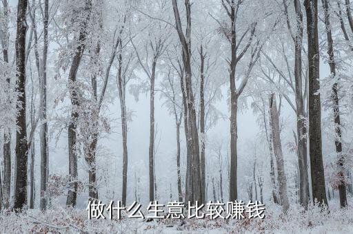 做什么生意比較賺錢(qián)