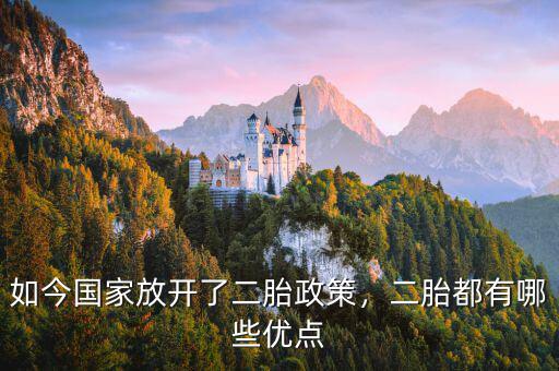如今國(guó)家放開了二胎政策，二胎都有哪些優(yōu)點(diǎn)