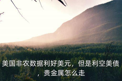 美國非農(nóng)數(shù)據(jù)利好美元，但是利空美債，貴金屬怎么走