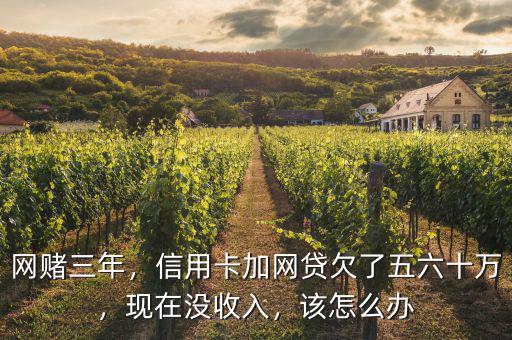 網(wǎng)賭三年，信用卡加網(wǎng)貸欠了五六十萬(wàn)，現(xiàn)在沒(méi)收入，該怎么辦