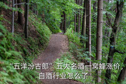 “五洋汾古郎”五大名酒一窩蜂漲價，白酒行業(yè)怎么了