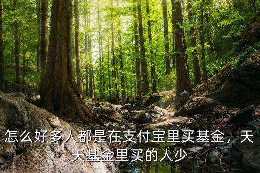 怎么好多人都是在支付寶里買基金，天天基金里買的人少