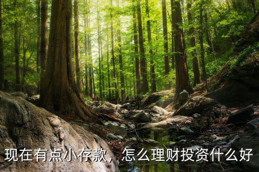現(xiàn)在有點(diǎn)小存款，怎么理財(cái)投資什么好