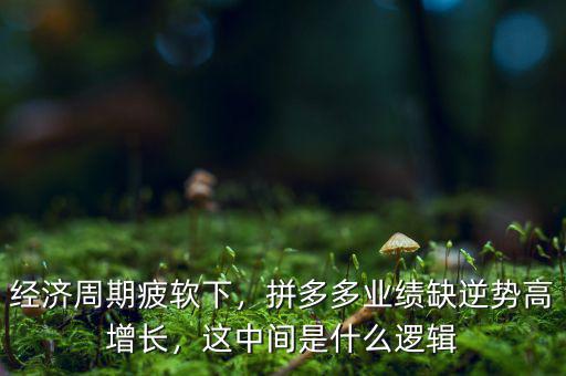 經(jīng)濟(jì)周期疲軟下，拼多多業(yè)績(jī)?nèi)蹦鎰?shì)高增長(zhǎng)，這中間是什么邏輯