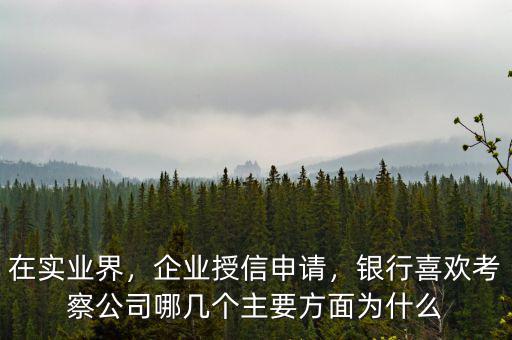 在實業(yè)界，企業(yè)授信申請，銀行喜歡考察公司哪幾個主要方面為什么
