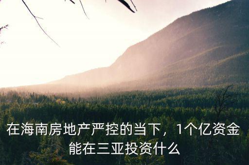在海南房地產(chǎn)嚴(yán)控的當(dāng)下，1個(gè)億資金能在三亞投資什么