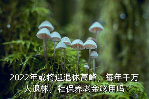 2022年或將迎退休高峰，每年千萬人退休，社保養(yǎng)老金夠用嗎