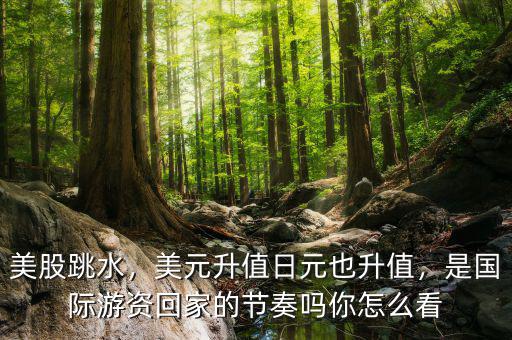 美股跳水，美元升值日元也升值，是國(guó)際游資回家的節(jié)奏嗎你怎么看