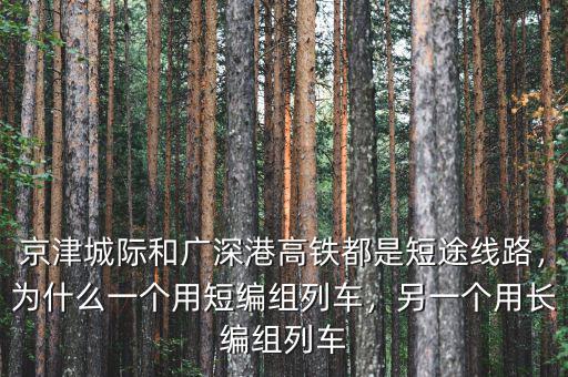 京津城際和廣深港高鐵都是短途線路，為什么一個用短編組列車，另一個用長編組列車